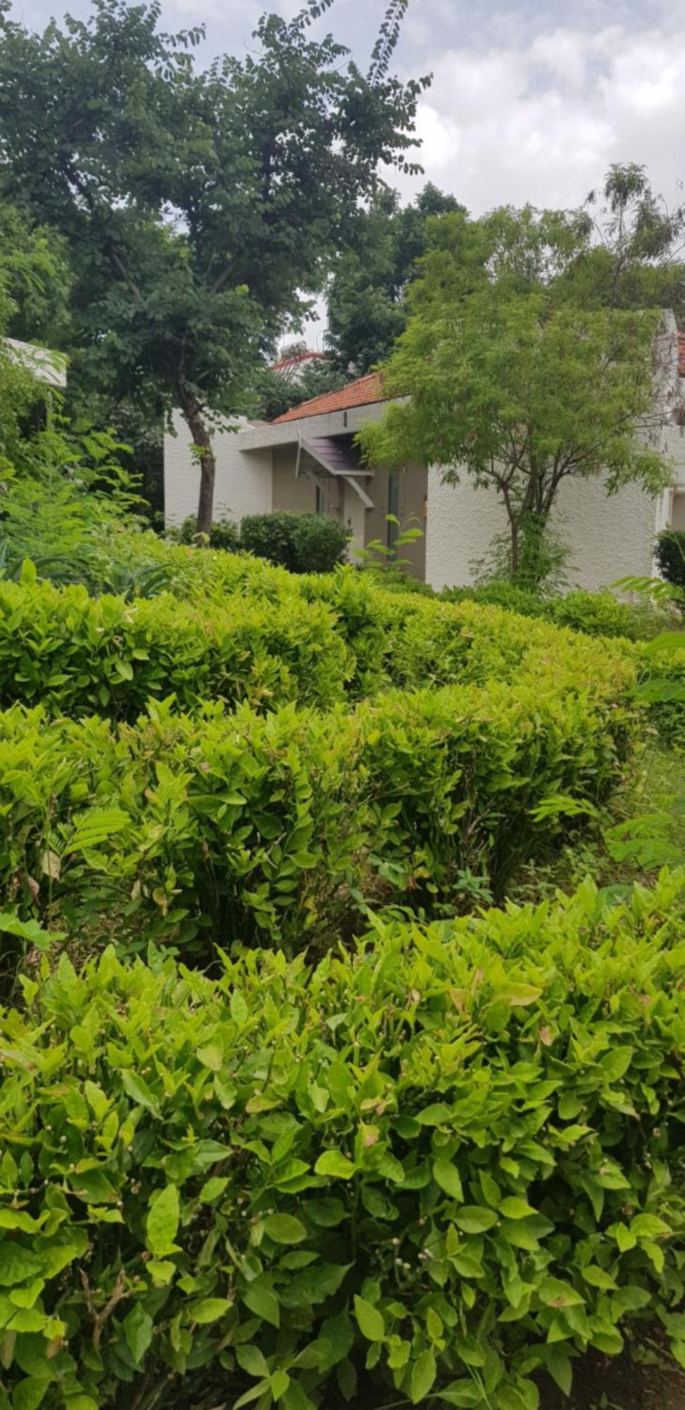 The Meadows Resort And Spa Aurangabad  Rum bild